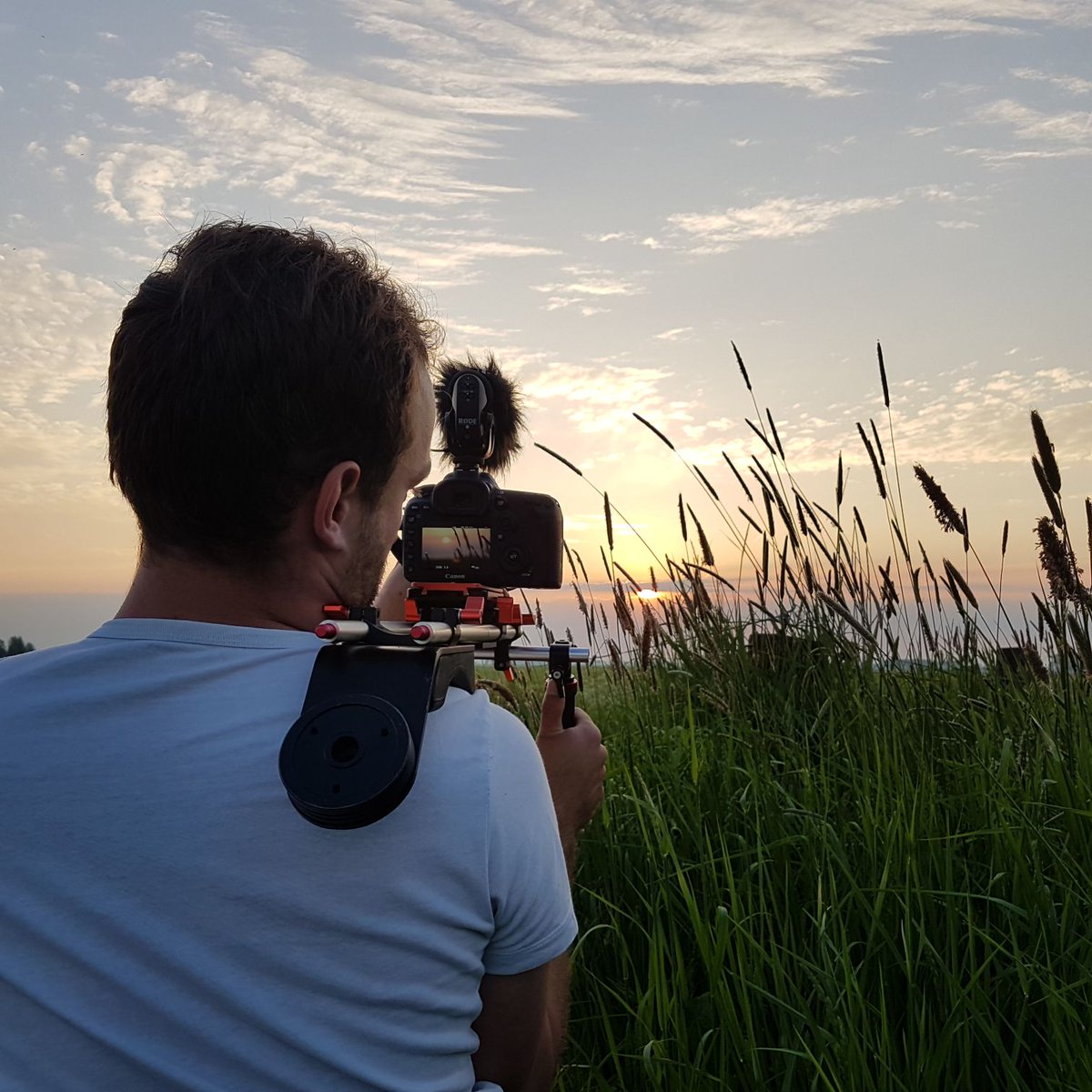 Samen koeien halen in de ochtendzon 1 van De mooiste momenten van het boer zijn <a href="/DocuDeBoerOp/">Docu 'De Boer op'</a> #burgerdeboerop