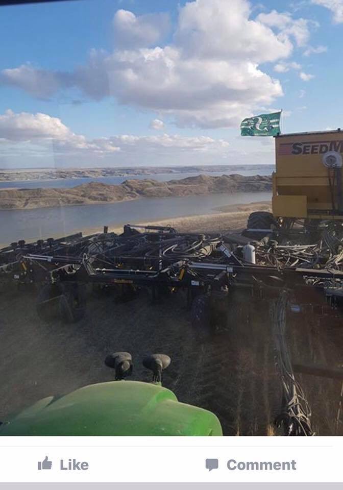 #plant17finished #lakediefenbaker