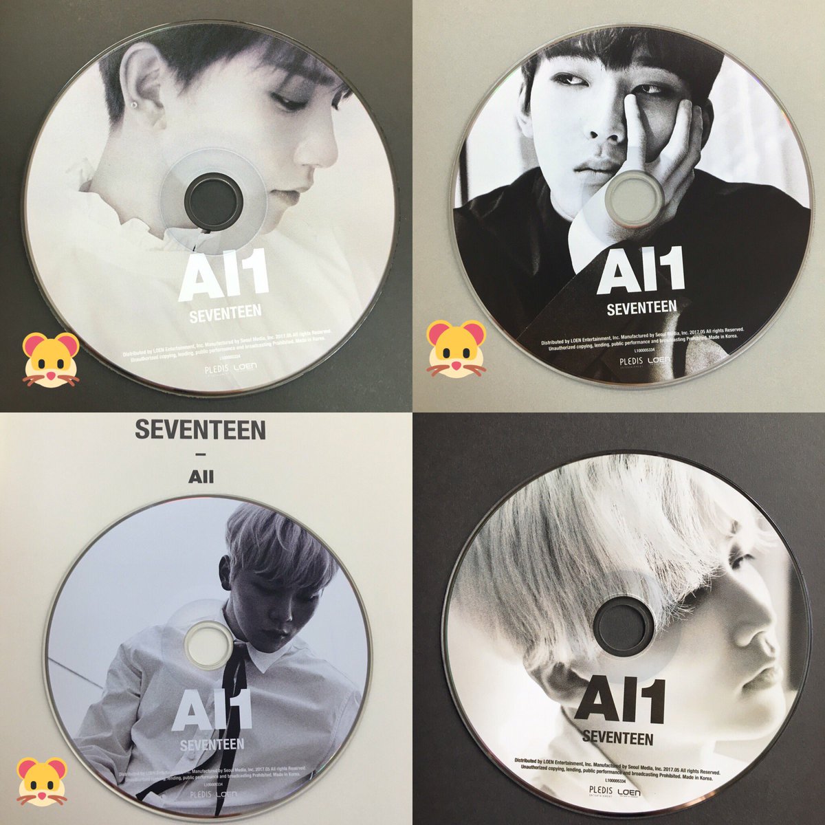 ADORING SEVENTEEN~♡ on X: 