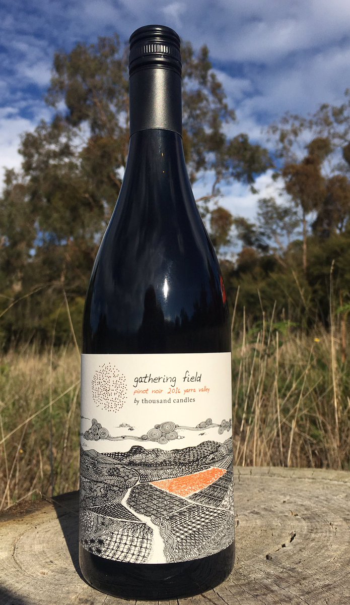 thousand candles (1000candles) Twitter