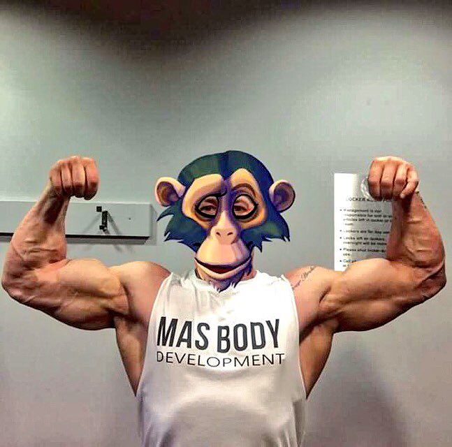 SiGheshash's tweet photo. When the cocopops take over π΅
#teamlrf #teamcocopops #ukbff #bigjoe
@MasBodyDev
@WorldGymBedford @worldgymglobal
πͺπ½π¬π§π https://t.co/ouyM0Py9vA