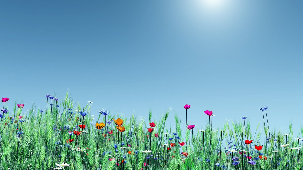 Fiori