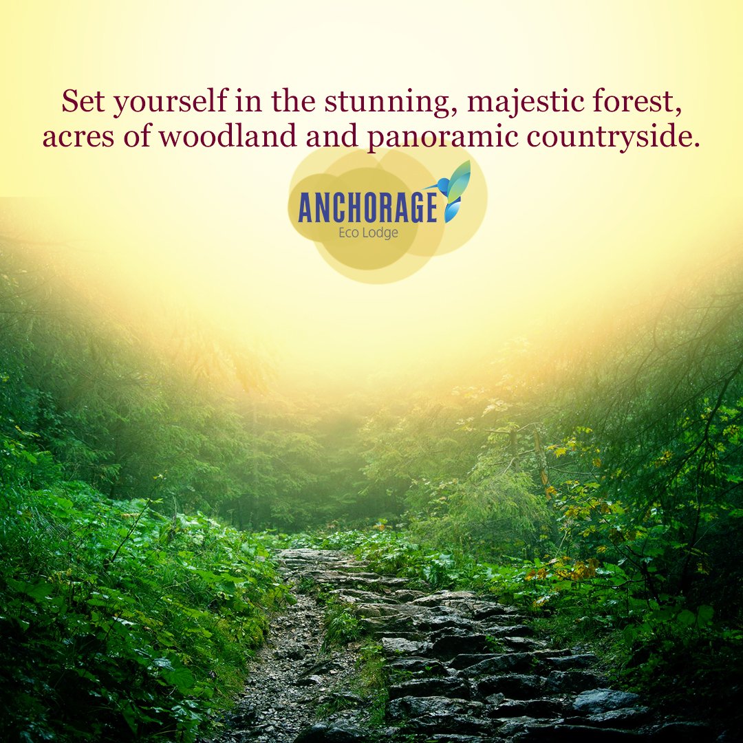 AnchorageEco's tweet photo. Get lost in the beauty of nature.
https://t.co/QpbkCvvJhD 
#anchorageecolodge #adventureactivities #outdoors #simplyadventure https://t.co/J7T5uCX5iM