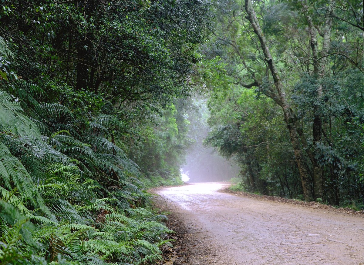 Weather Forecast Knysna Tuesday 23 May 2017

29°HI
RealFeel® 28°
Precipitation 0%
Periods of clouds and sun