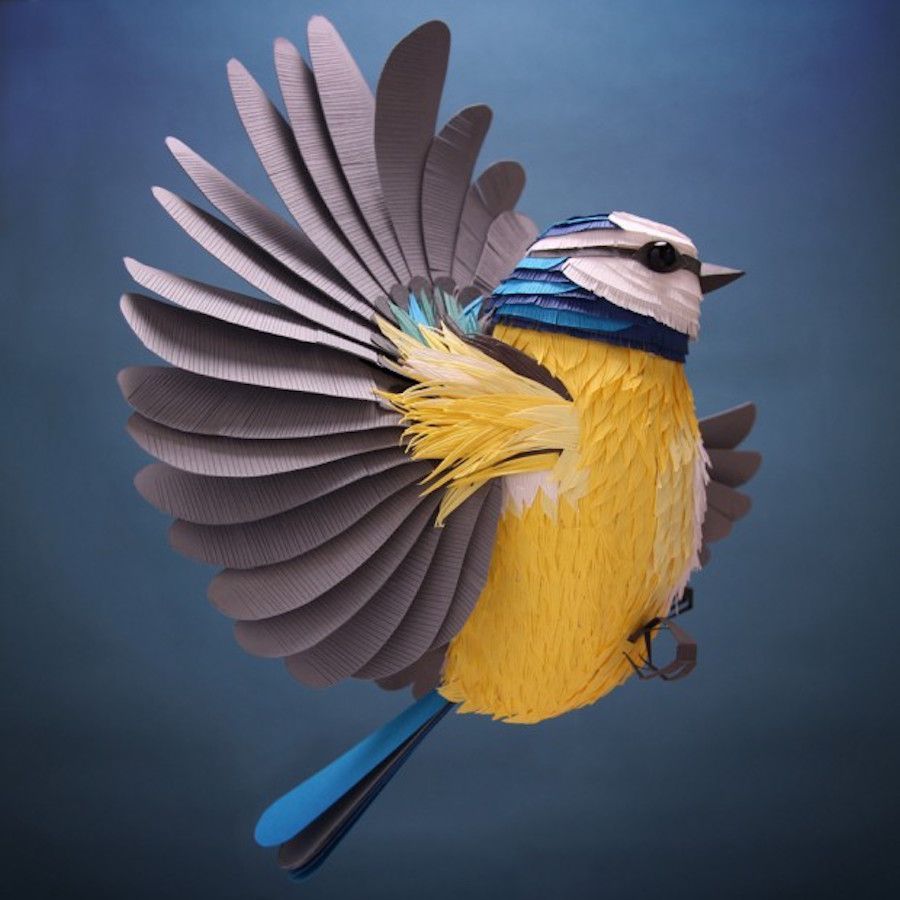 fubiz's tweet photo. Sumptuous Colored Illustrations with Paper Cutouts https://t.co/EayMf6uK4e https://t.co/2ibVexZgFD