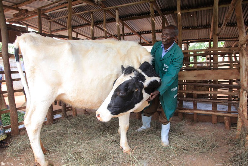 RwandaAgri's tweet photo. Meet @DRwamagana ’s farming millionaire, Mutibagirana, who started  out as a casual  labourer|https://t.co/fp530RVFGa via @NewTimesRwanda https://t.co/Z23b71FZbw