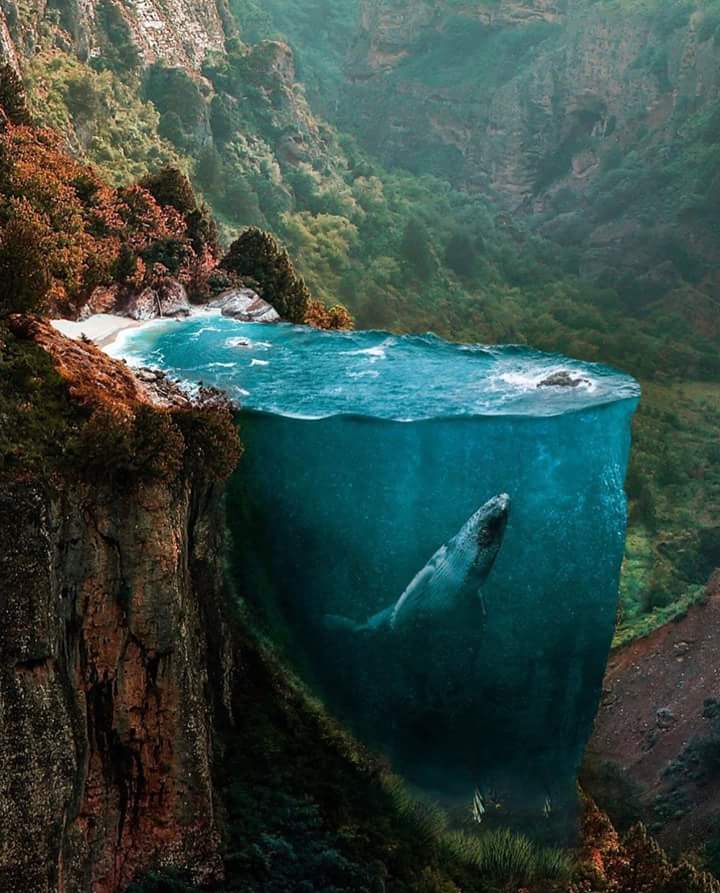 <a href="/rajesh6363/">RAJESH.YADAV</a> Good afternoon