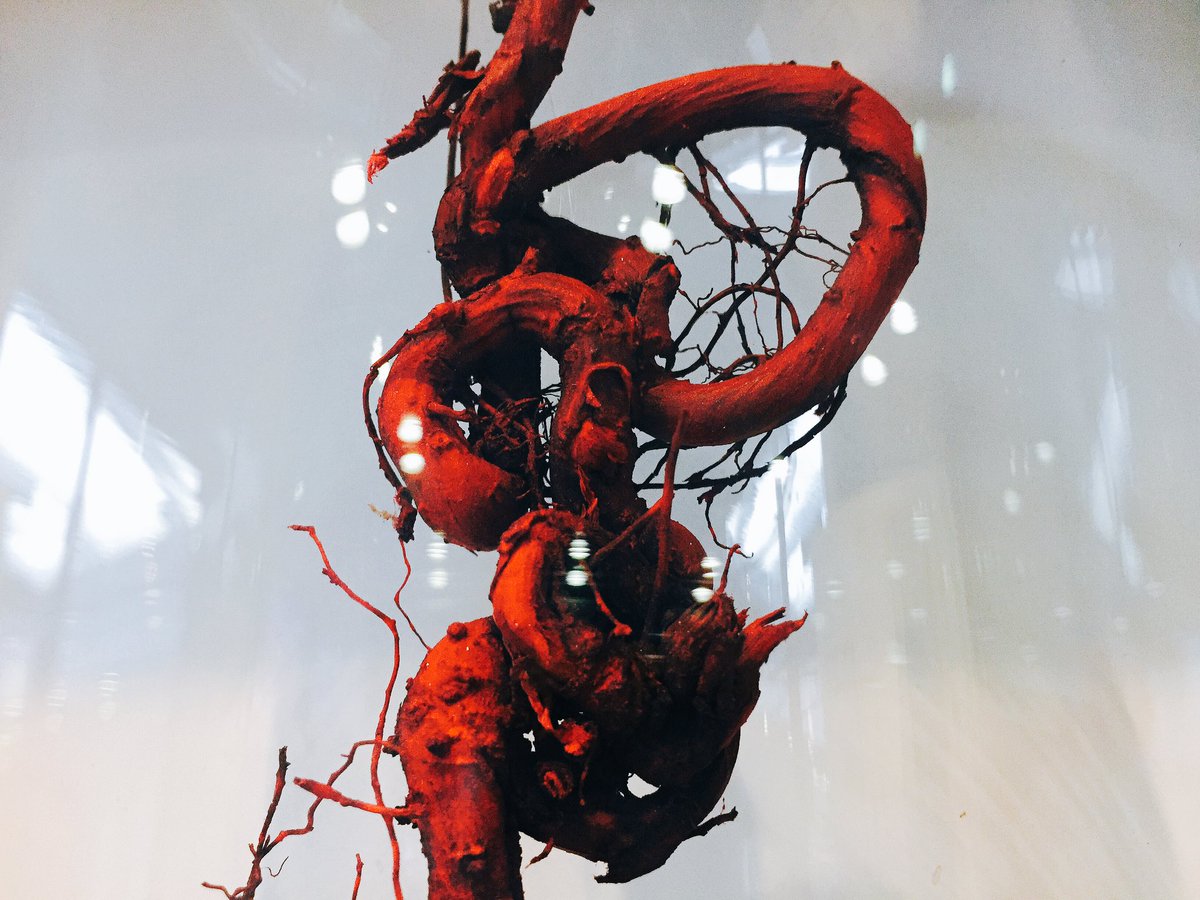 artsciencecsm's tweet photo. A busy day ahead as we welcome our first guests in the PV. Good luck to all! Exhibition opens tomorrow COME! #thirdmatter #artandscience https://t.co/OJX8DwLko7