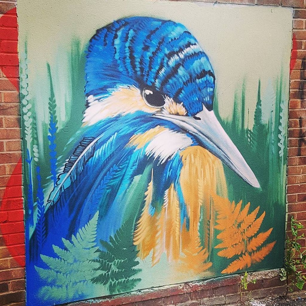 artstreetlife's tweet photo. Another brilliant work from @faunagraphic #naturalist #artist #earth #s1 #shedl #sheffield #art #streetart #urban … https://t.co/3xKPOhm5XA https://t.co/XnugcJzG38