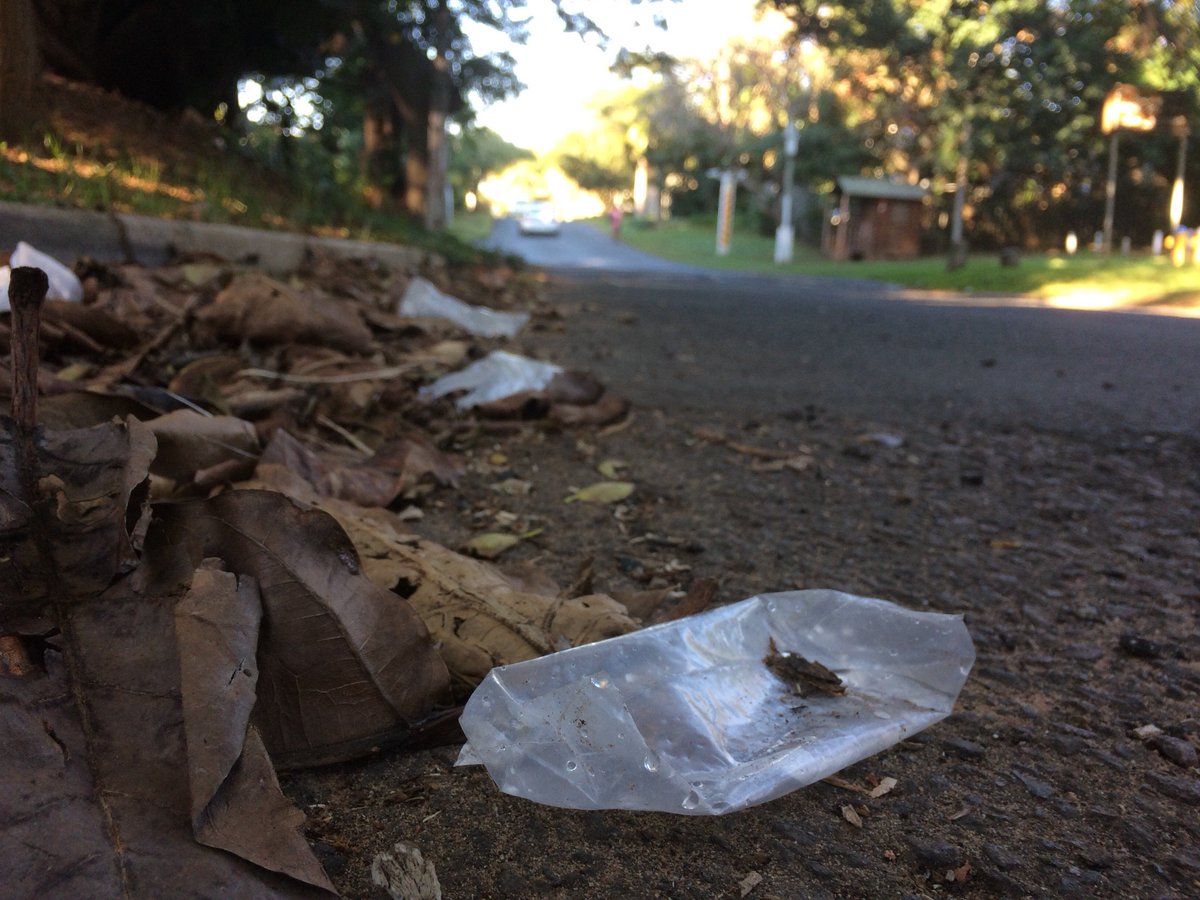 Dr Grant Harper tweet media