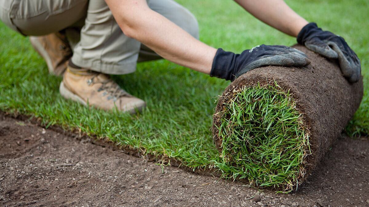 Tapiolan Leimuniittyyn samettinen nurmikko bit.ly/2rc1qxC