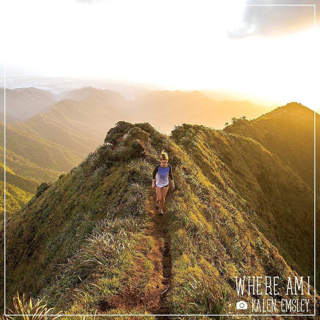 Discovery Melbourne tweet media