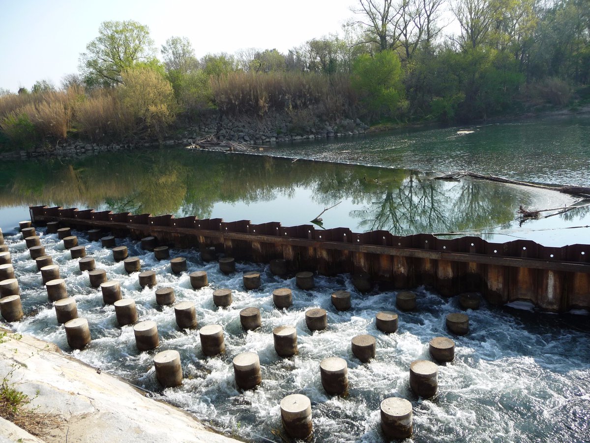 Le 21 mai, c'était la JM des #poissons migrateurs 🐟 Découvrez nos actions pour préserver ces espèces menacées ! ➡ bit.ly/2rc0Waw