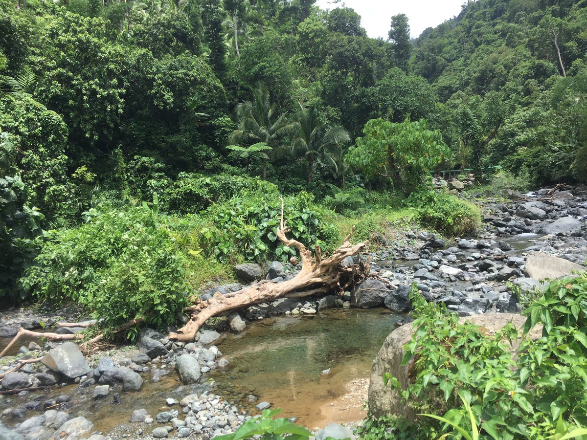 nakngtweeting's tweet photo. Trek to the Mother Fall. #WhenInAurora https://t.co/oeC29rpaDl