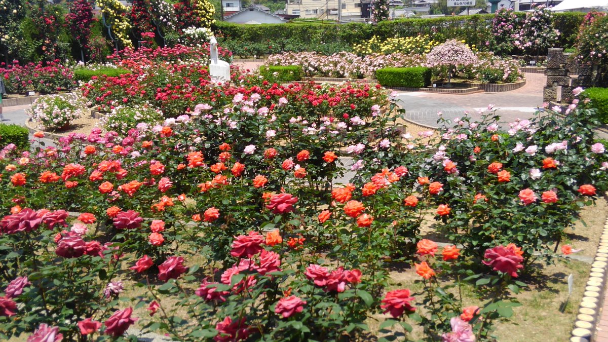 奈良市消防局 در توییتر ５月２３日にバラの花 が満開の霊山寺で 鳥見地区女性防災クラブの総会が行われ 引続いて行われた研修会では ゴミ袋で作るポンチョ や 新聞紙 で作るスリッパ など いざと言うとき役立つ手作り防災グッズの作り方を皆さんで体験されました