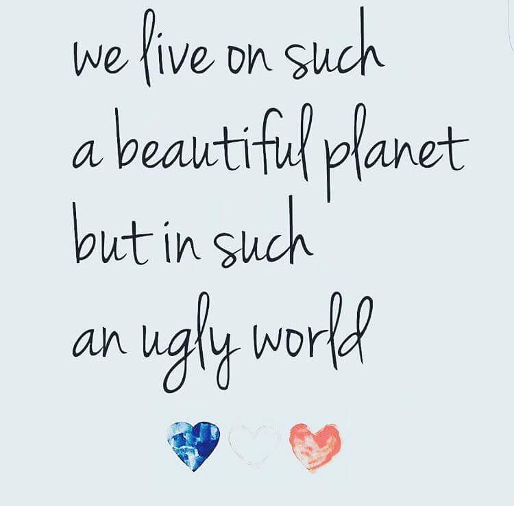 Natasha Tranter tweet media