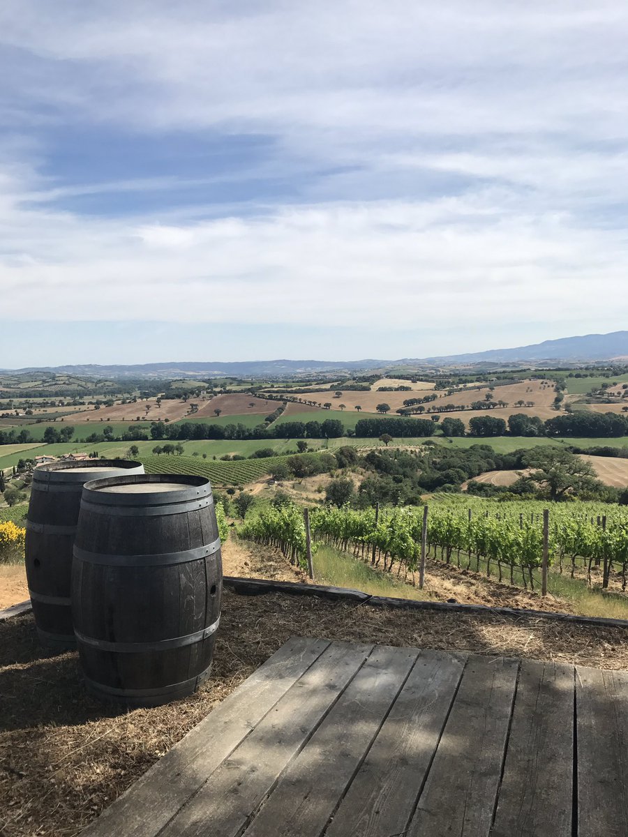 Ecco i nostri vigneti di Bozzino.  Con un panorama così, non servono altre parole #flp #fattorialepupille #bozzino #toscana #tuscany #vino