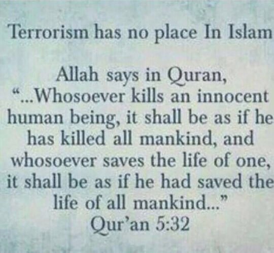 zaynsdeewani's tweet photo. This is for all those people who are in mentions trying get me educated and acting as if they know everything about Quran/Islam 🗣 https://t.co/39lDAaZzee