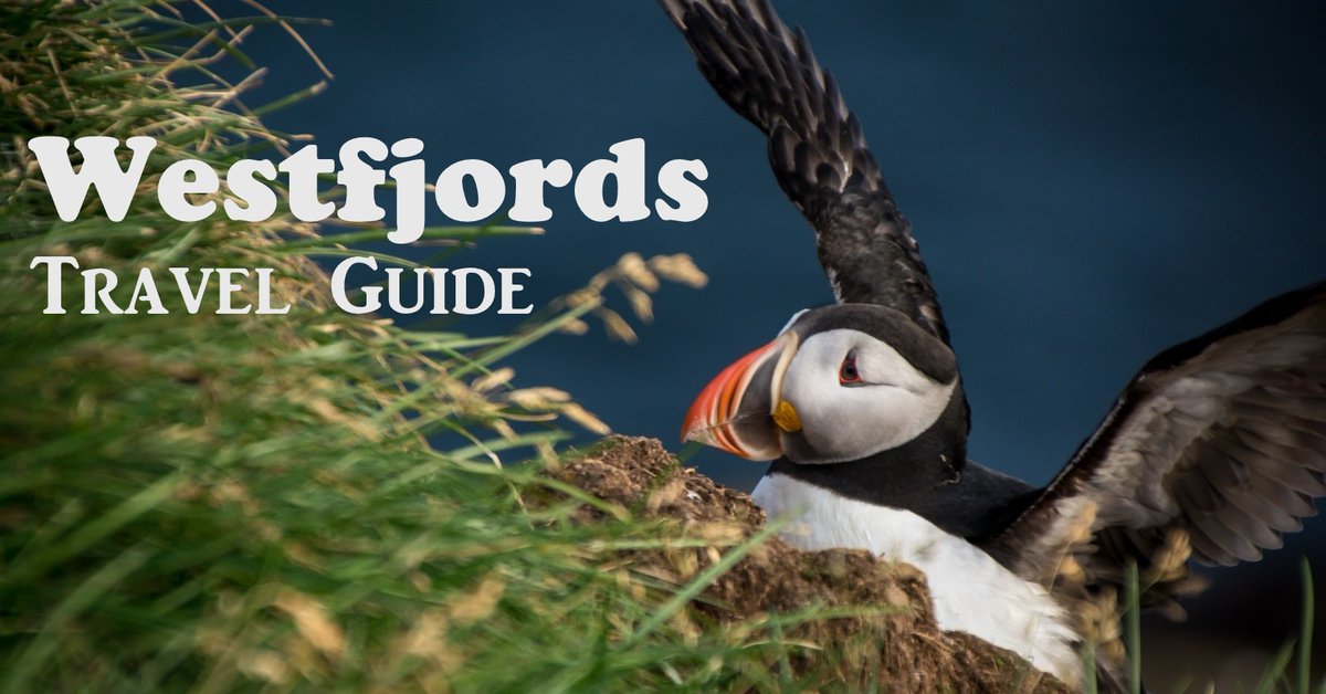 Radio Iceland tweet media