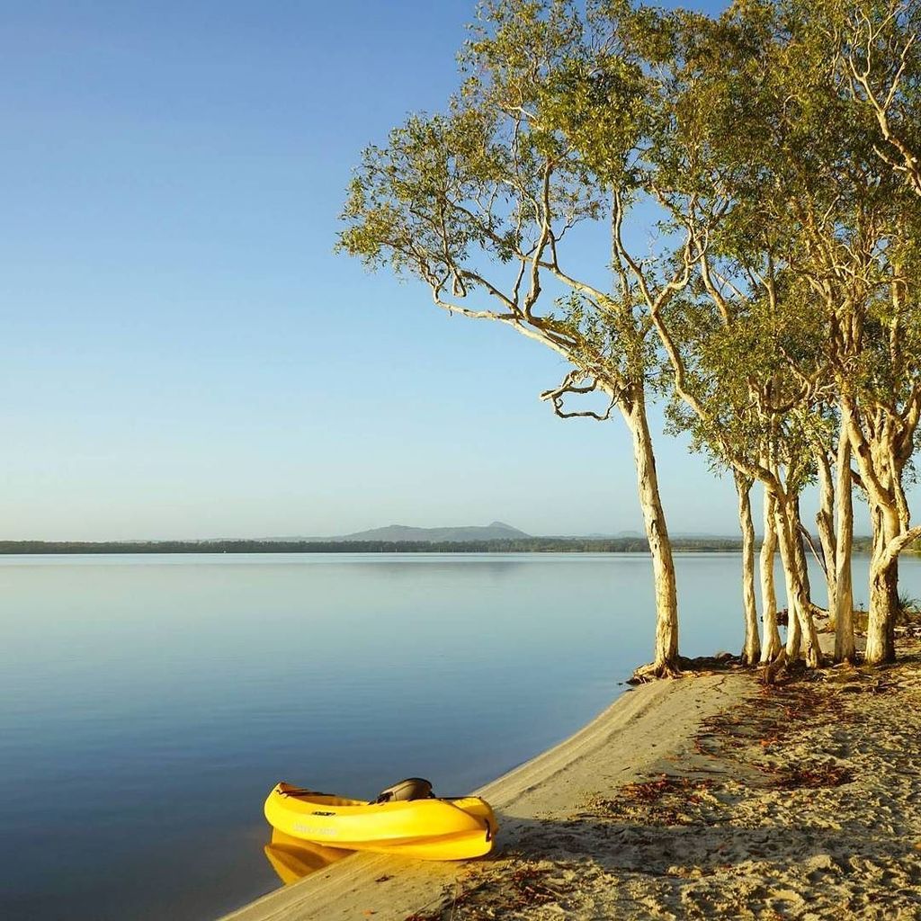 KeiranLusk's tweet photo. Nothing beats an early morning paddle! This beautiful place is #BoreenPoint on Lake Cootharaba, just a stone's thr… https://t.co/GdOoc6djsg https://t.co/9zKTs43rKy
