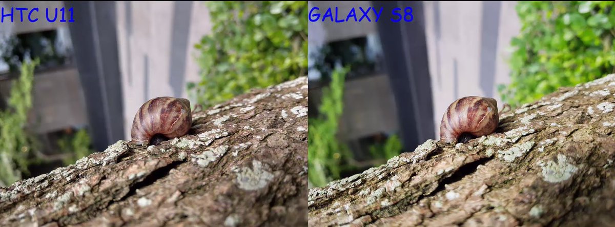 Вообще без вопросов HTC U11 лучше размывает задний фон. На самсе, как будто смазанный кадр по краям