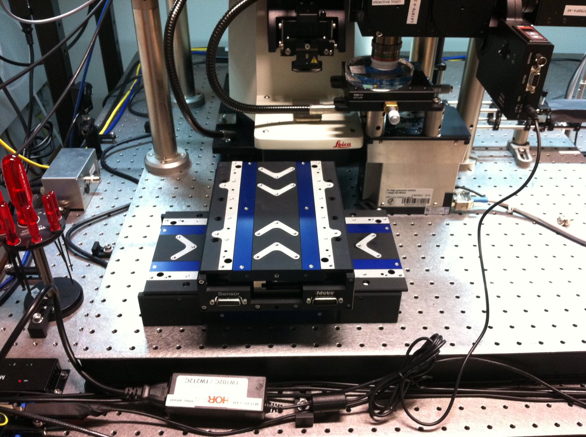 david_chen_lee's tweet photo. Installing the XY stages #MyersLab https://t.co/WBpRmhwcaW