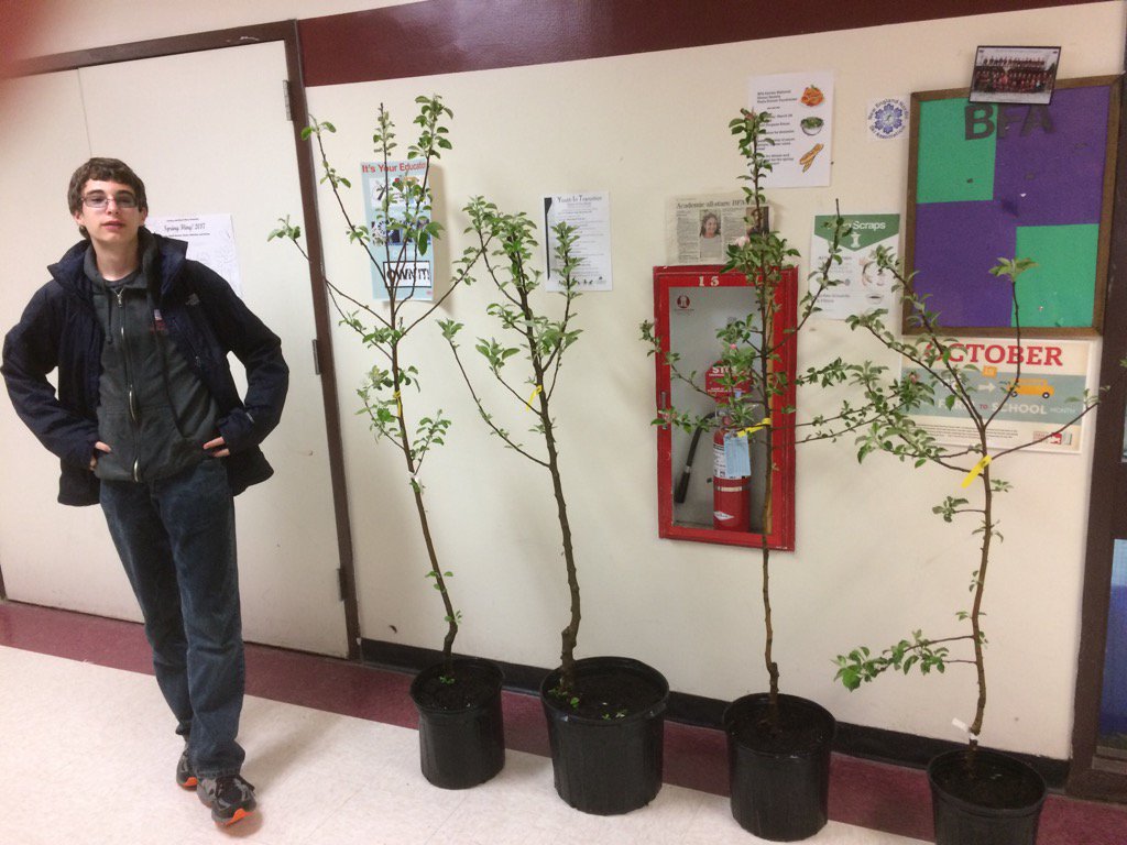 #bfairfax Additions to the Farm to School orchard: Northern Spy, Liberty, State Fair, Red Free. Go BFA School Farm!