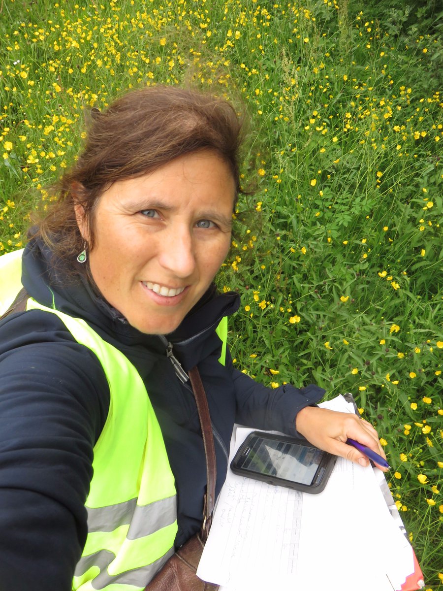 natuurstudie's tweet photo. Medewerkster Roosmarijn inventariseert de kleurrijke flora in de bermen van de E34. 
#Beestigmooieberm
#Nieuwbeheerplan
#ObsMapp
#Trajecten https://t.co/UR40zHp424