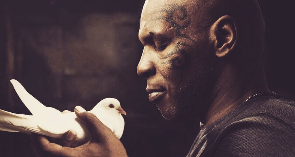 #Efsane 
                        #miketyson