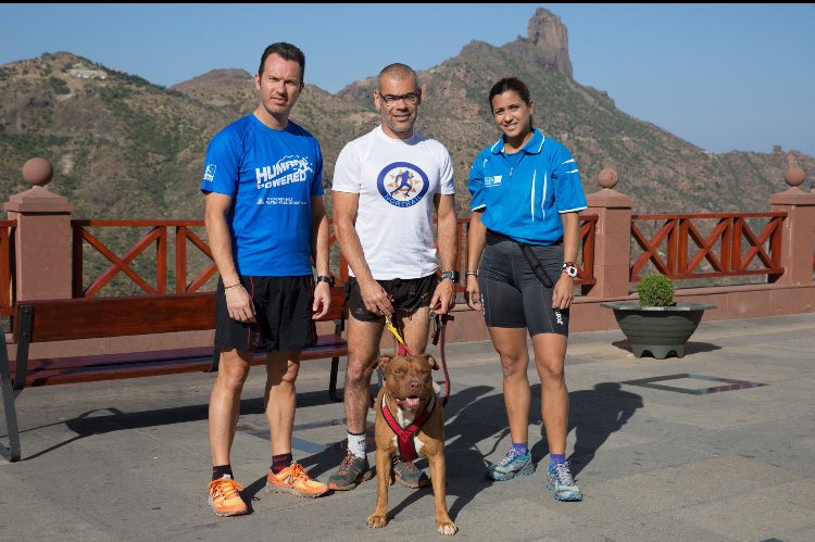CircularTejeda's tweet photo. ¿Sabías que este año estrenamos una nueva modalidad en la #circulartejeda17 ? Corre con tu mejor amigo en la #Canicross 🐶🏃🏃🏽🐕 https://t.co/XqcEmnSCfA