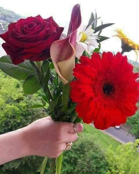 <a href="/rajesh6363/">RAJESH.YADAV</a> Amazing.