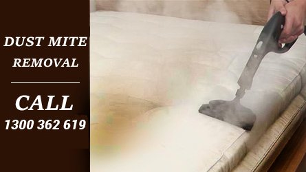 justcleaningau's tweet photo. We have in place the most professional team of #certifiedcleaners who are very passionate about #mattresscleaning. https://t.co/C4RDOBpoah https://t.co/IkvBjyzOam