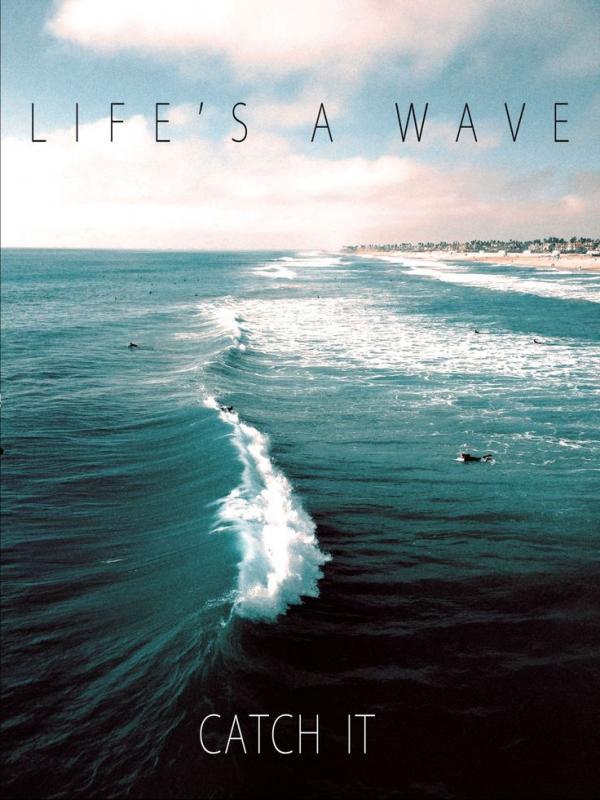 Life's a wave, catch it. picturequotes.com/lifes-a-wave-c… #PictureQuotes #LifeQuotes