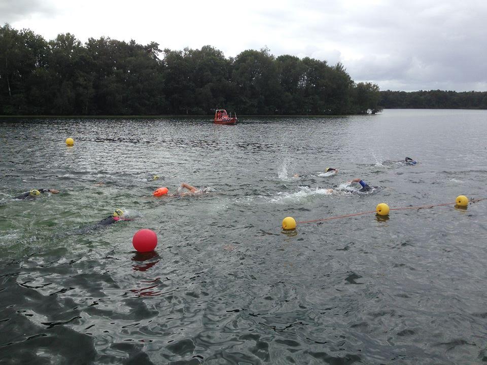 Start to Swim en verbaas je over jezelf vught.nieuws.nl/sport/4577/sta…