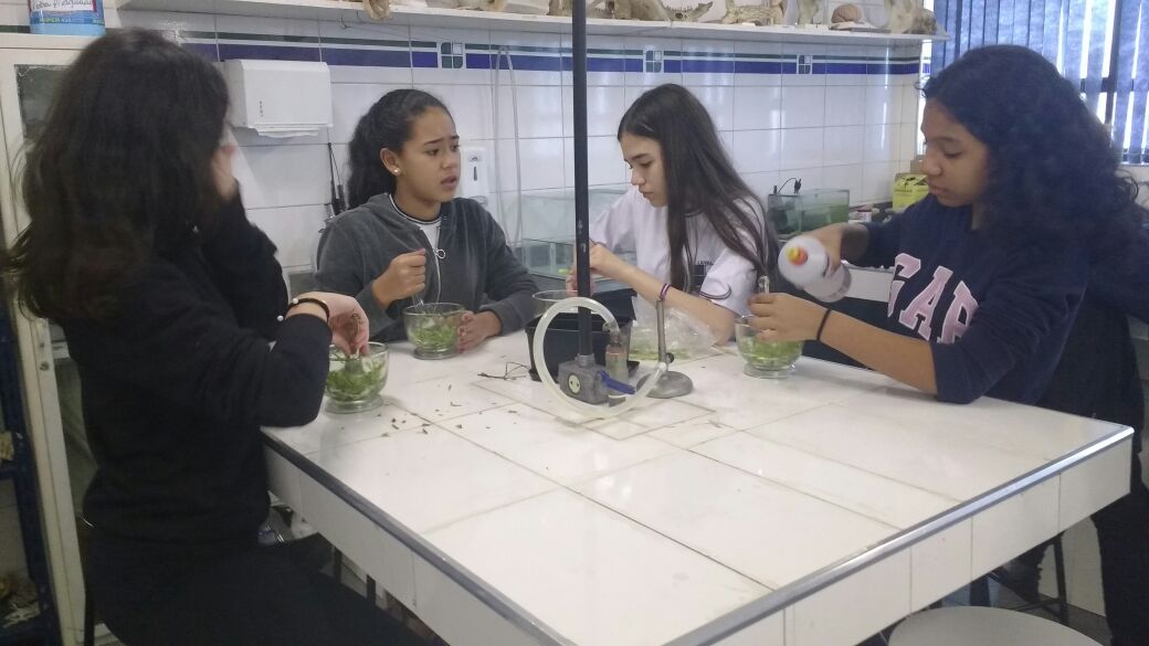 LiceuSantaCruz's tweet photo. Os alunos do Ensino Fundamental II e Ensino Médio realizaram atividades do Projeto Sustentabilidade. https://t.co/wOx85TPrm6