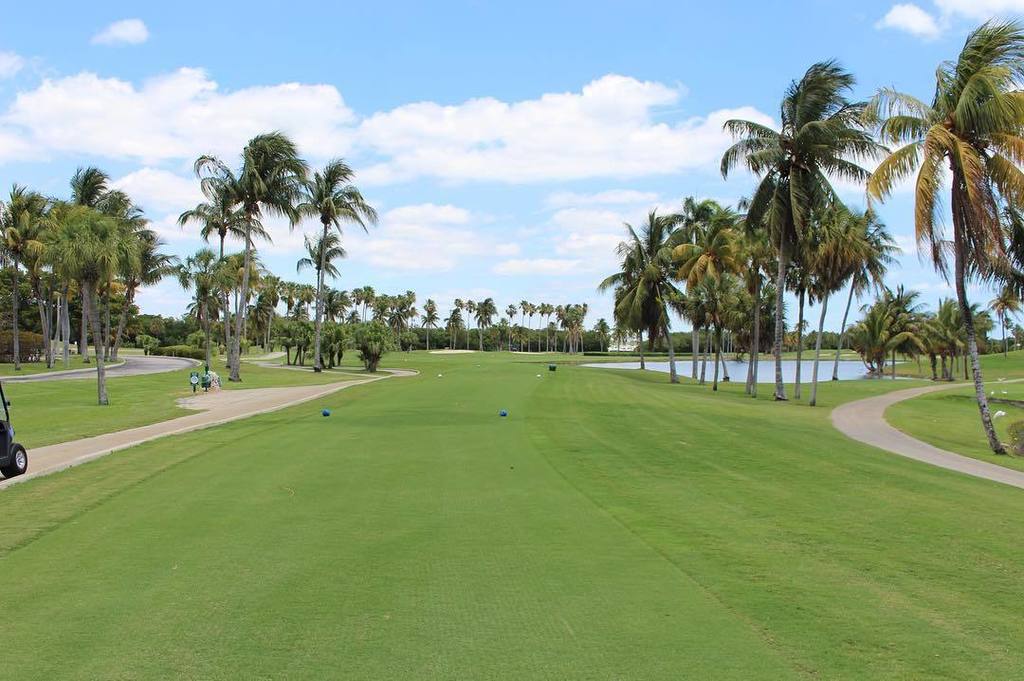 Paradise 🌴 #crandon #golf #miami #floridsgolf #golfers #play9 #CrandonGolf #coconuts #island