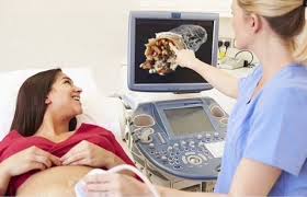 Claire du Pon tweet media