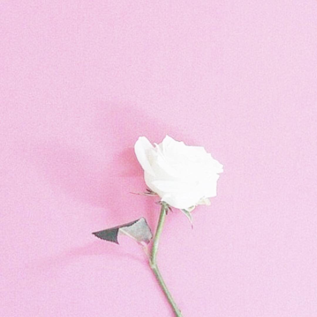 my love, prayers, and everything i can give is with everyone in manchester right now i’m in complete shock to hear of the news this morning.