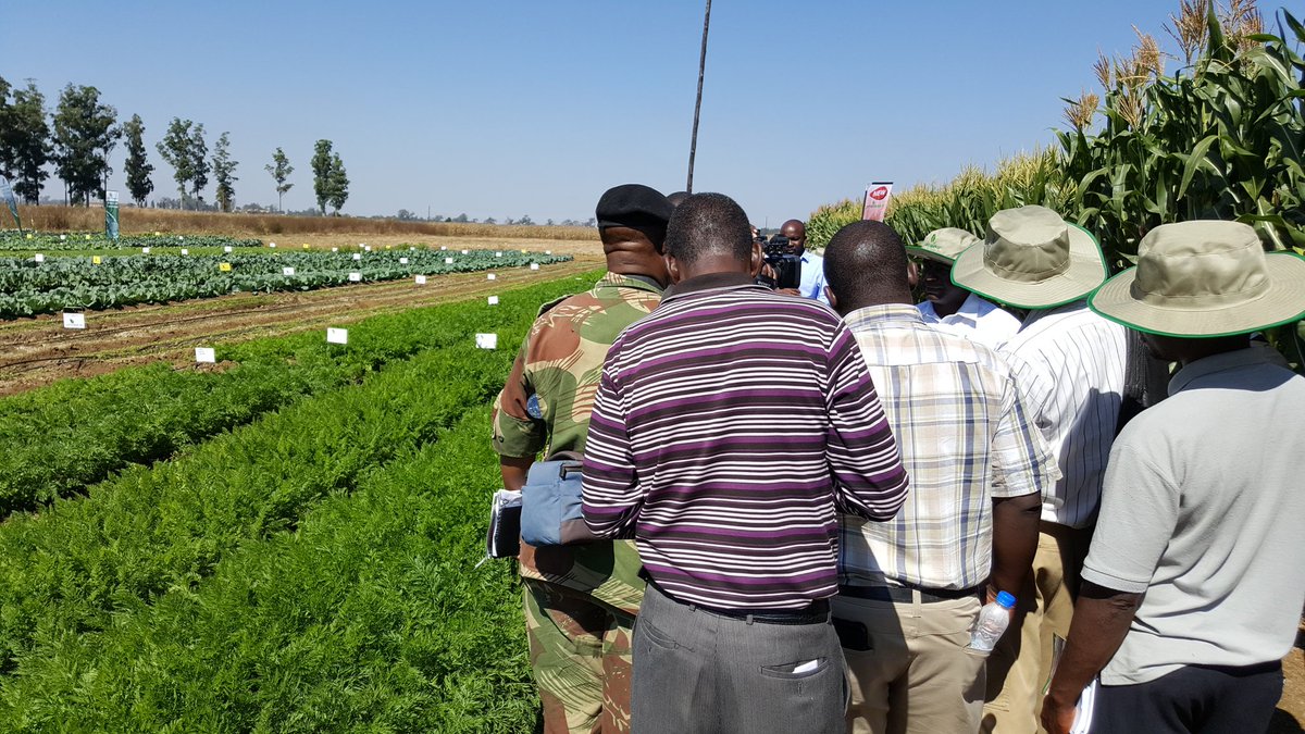 Prime Seedco tweet media