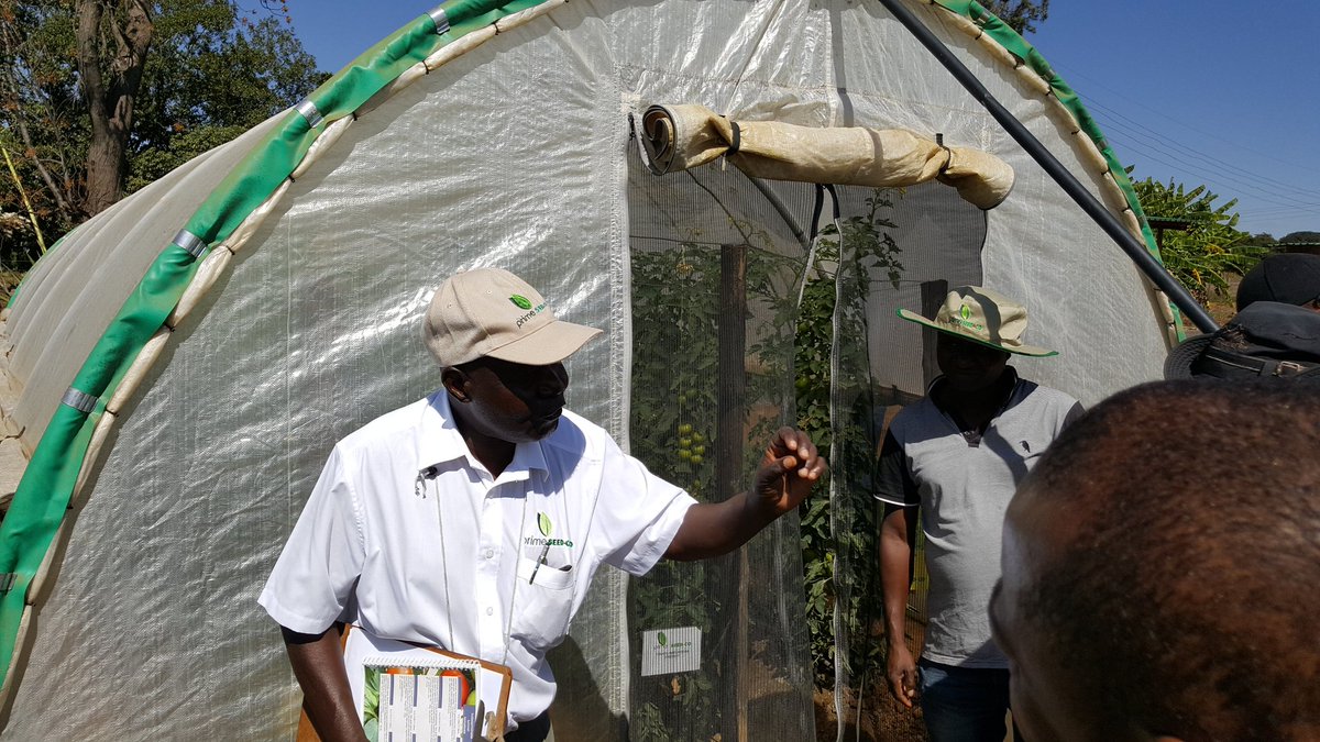 Prime Seedco tweet media