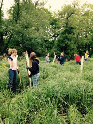 hprhs_kendra's tweet photo. AP Environmental doing what they do best &amp; helping with stream restoration!🌳 @HPRwildcats #environmental #earth #wildcatpride #topofnj https://t.co/N0CHWMpjgP