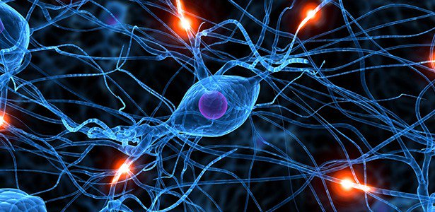 RealDepartment's tweet image. SCIENTISTS SUCCESSFULLY GREW BRAIN CELLS ON A CHIP realdepartment.com/technology/sci…