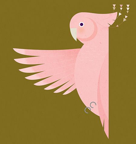 XaviGasso's tweet photo. Me han encantado estas ilustraciones vectoriales de Abigail Goh https://t.co/M0x2B7UYgL via @av_area_visual https://t.co/B8H7OU3xrW