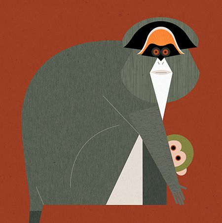 XaviGasso's tweet photo. Me han encantado estas ilustraciones vectoriales de Abigail Goh https://t.co/M0x2B7UYgL via @av_area_visual https://t.co/B8H7OU3xrW