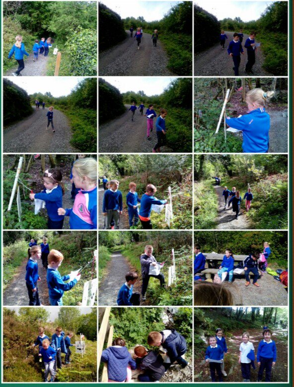 Orienteering in Rineen Woods last Thurs.
A big thank you to the Parents' Association for giving the children this wonderful experience.