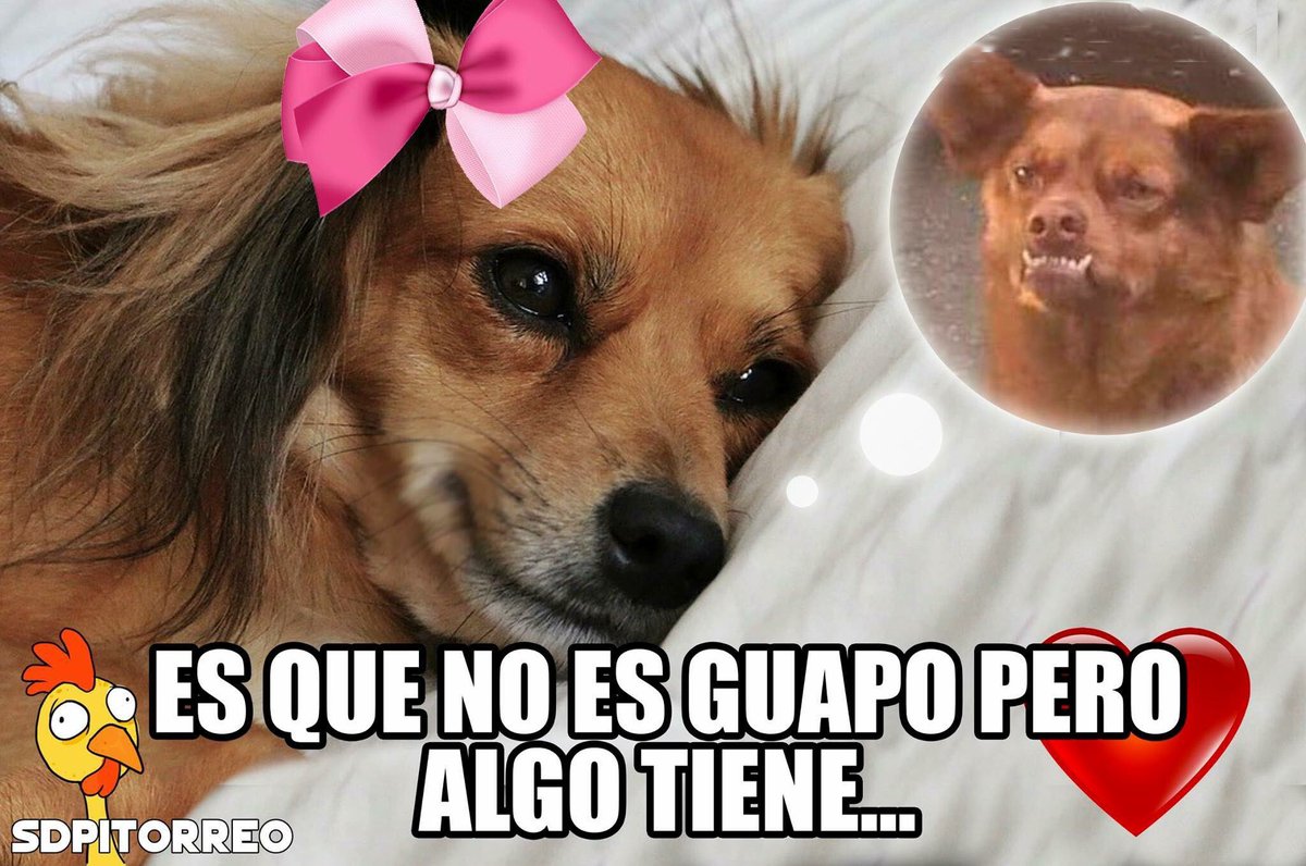 NoTanMachos's tweet photo. A veces pasa... https://t.co/0zcqHwcF1W