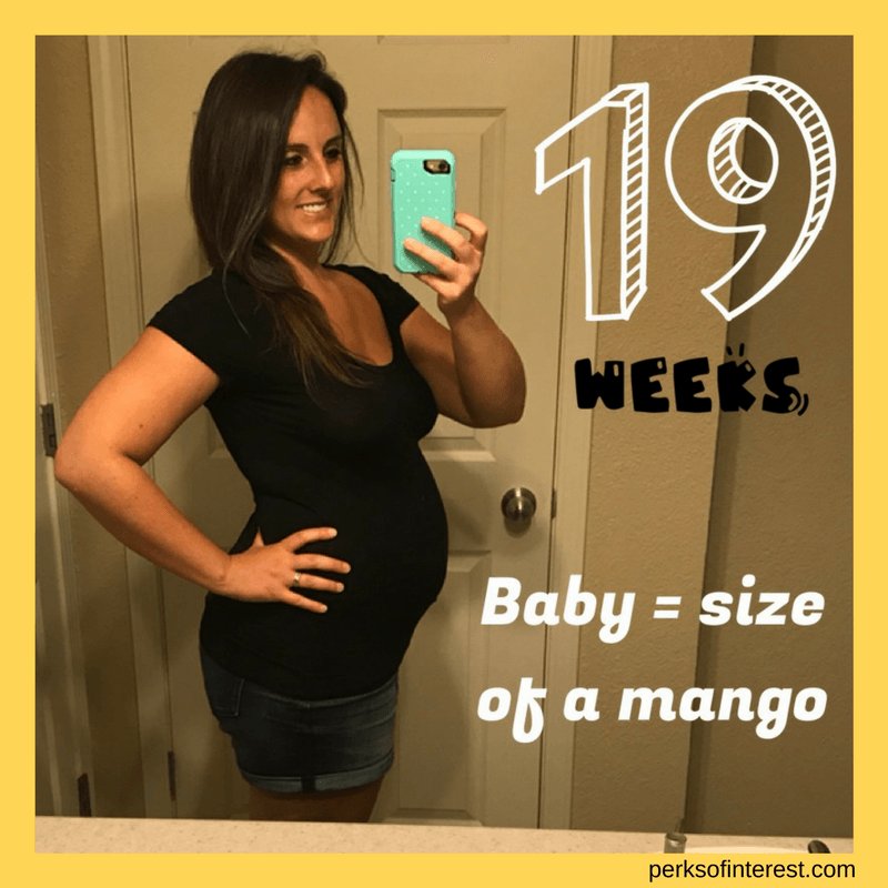 perksofinterest's tweet image. Pregnancy Update – 19 Weeks perksofinterest.com/pregnancy-19-w…