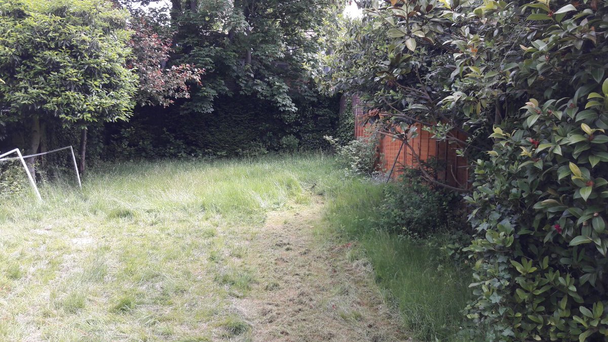 sprucedgardens's tweet photo. Back in Golders Green today for a spot of mowing. Much tidier! #Spruceupyourlife #welcometothejungle #londonlife #gardening https://t.co/JAcT9vs9kb