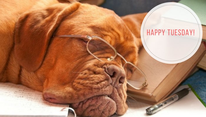 CRMDynamicsCA's tweet image. Feeling a little tired? We have some fun learning to get your day kick started! ow.ly/xLoj30bYcpW #LearnCrm #MSDYN365 #Webinar #CRM