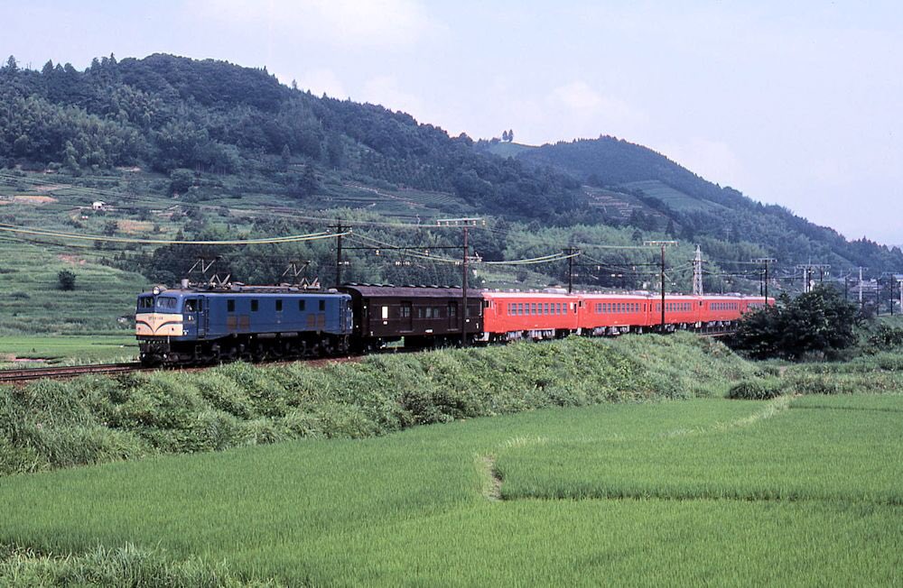 サロマニア 緑の中に映えるオレンジ色の列車はキハ48のトップナンバーを含む新製回送列車 牽引するのはゴハチ146番 控車は このタイプでは珍しく扉窓に中桟の入ったマニ60 リバイバルつばめの露払いにしては出来過ぎ 笑 1981年 7月25日 8101レef